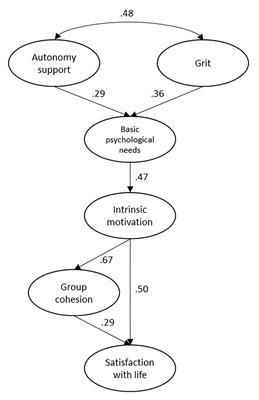 From Autonomy Support and Grit to Satisfaction With Life Through Self-Determined Motivation and Group Cohesion in Higher Education